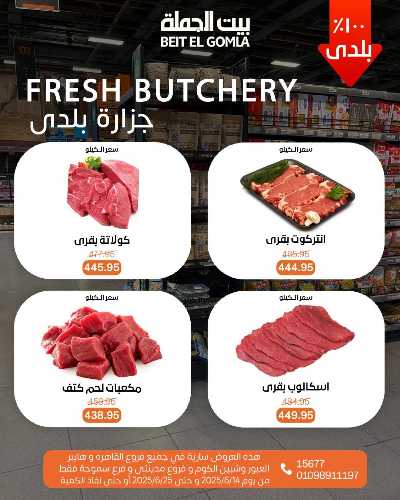   عروض الصيف  من بيت الجمله  8
