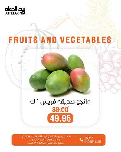 عروض الاثنين من بيت الجمله  10