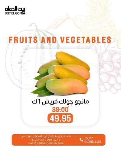 عروض الاثنين من بيت الجمله  11