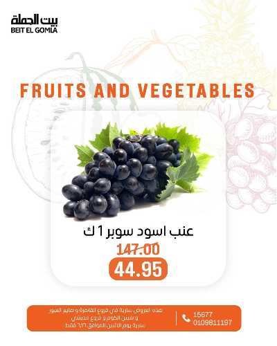 عروض الاثنين من بيت الجمله  12