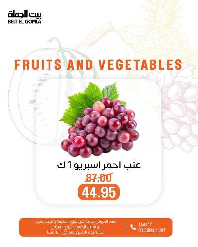 عروض الاثنين من بيت الجمله  14