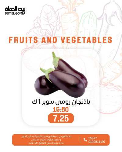 عروض الاثنين من بيت الجمله  21