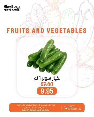 عروض الاثنين من بيت الجمله  24