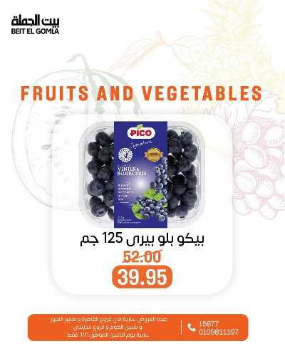 عروض الاثنين من بيت الجمله  8