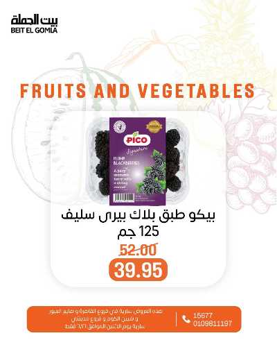 عروض الاثنين من بيت الجمله  9