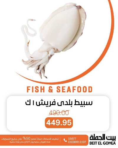 عروض الثلاثاء على الاسماك من بيت الجمله 7