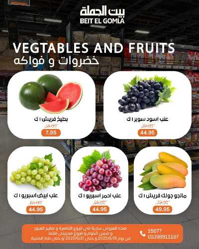   عروض الويك اند  من بيت الجمله  12