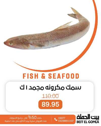 عروض الثلاثاء على الاسماك من بيت الجمله 7