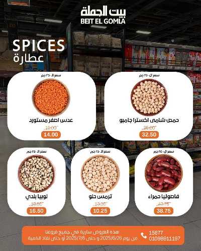  عروض الصيف  من بيت الجمله  11