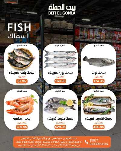   عروض الويك اند  من بيت الجمله  10