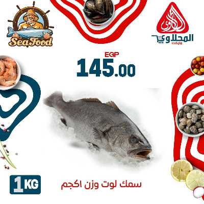عروض الاسماك  من المحلاوي 1