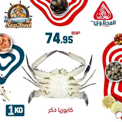 عروض الاسماك  من المحلاوي 10