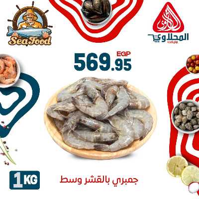 عروض الاسماك  من المحلاوي 11