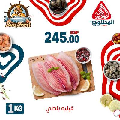 عروض الاسماك  من المحلاوي 12