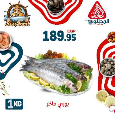 عروض الاسماك  من المحلاوي 15
