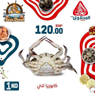 عروض الاسماك  من المحلاوي 17