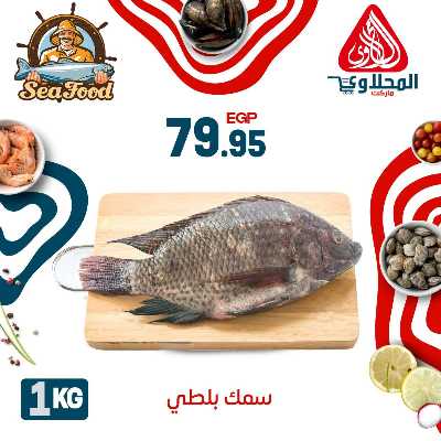 عروض الاسماك  من المحلاوي 20