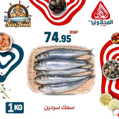 عروض الاسماك  من المحلاوي 3