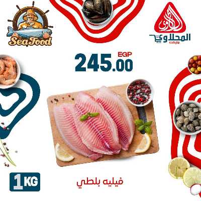عروض الاسماك  من المحلاوي 6