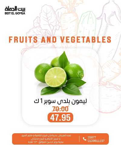 عروض الاثنين من بيت الجمله  10