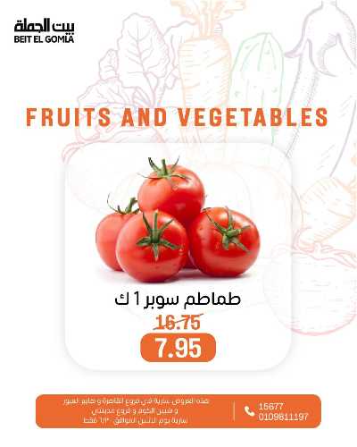 عروض الاثنين من بيت الجمله  13