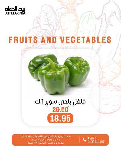 عروض الاثنين من بيت الجمله  7