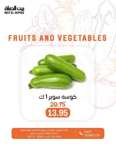 عروض الاثنين من بيت الجمله  8