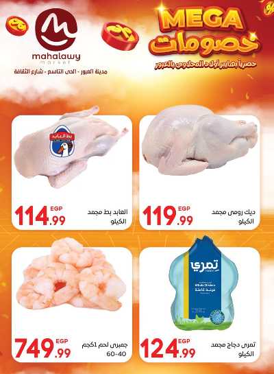  عروض الاحتفال من اولاد المحلاوي 19