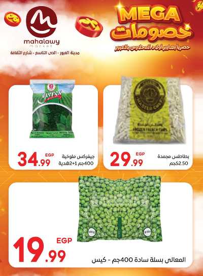  عروض الاحتفال من اولاد المحلاوي 20
