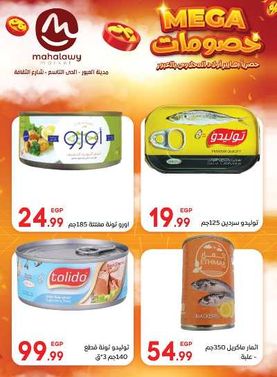  عروض الاحتفال من اولاد المحلاوي 26