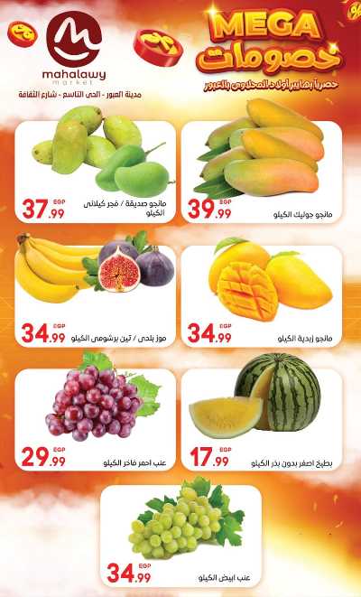  عروض الاحتفال من اولاد المحلاوي 5