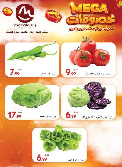  عروض الاحتفال من اولاد المحلاوي 6