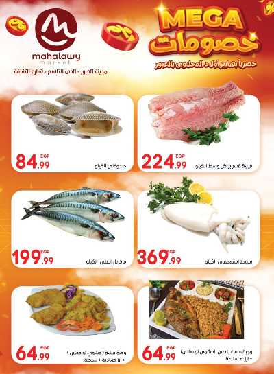  عروض الاحتفال من اولاد المحلاوي 7