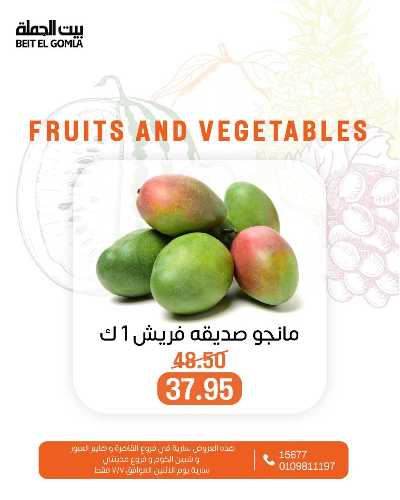 عروض الاثنين من بيت الجمله  4