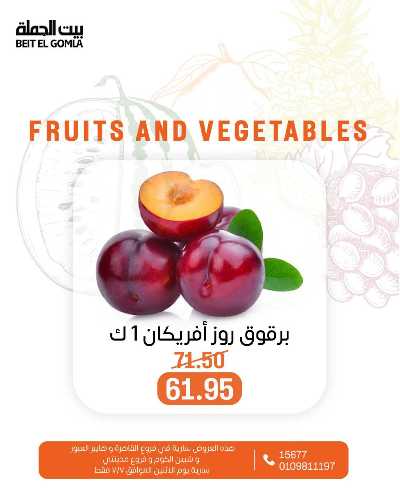 عروض الاثنين من بيت الجمله  5