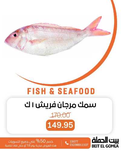 عروض الثلاثاء على الاسماك من بيت الجمله 10