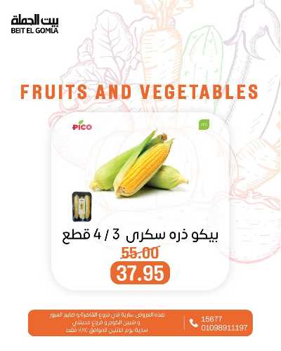 عروض الاثنين من بيت الجمله  11