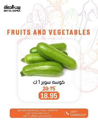 عروض الاثنين من بيت الجمله  17