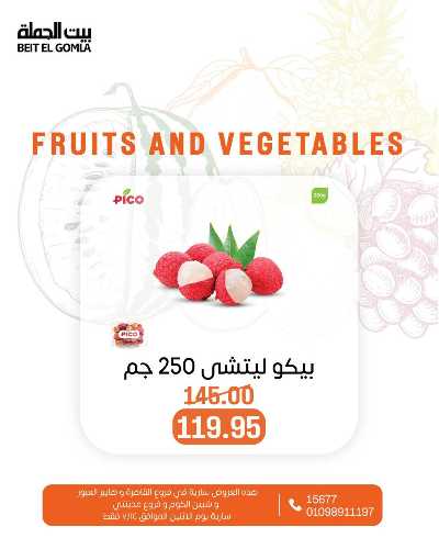 عروض الاثنين من بيت الجمله  19