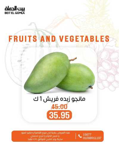 عروض الاثنين من بيت الجمله  6
