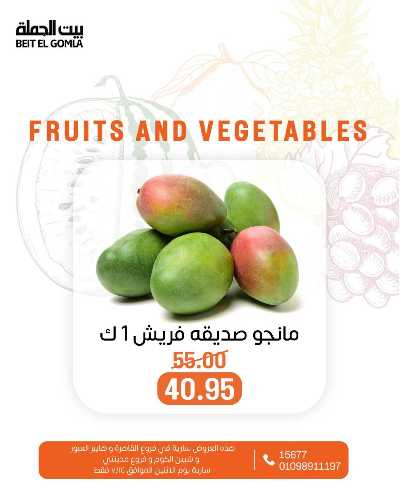 عروض الاثنين من بيت الجمله  7
