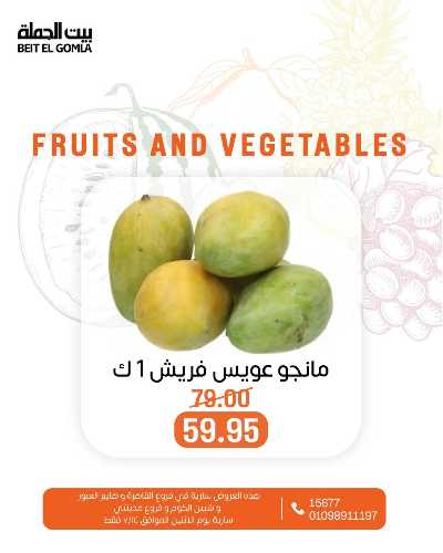 عروض الاثنين من بيت الجمله  8