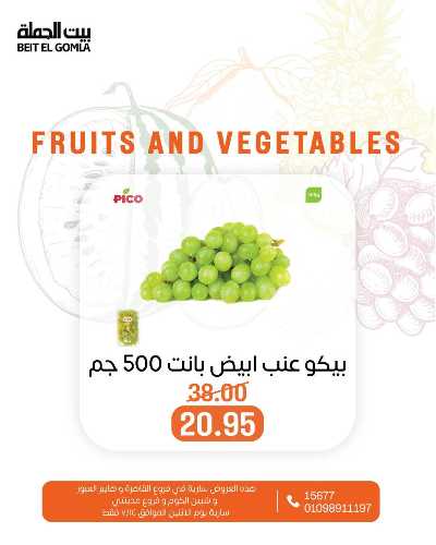 عروض الاثنين من بيت الجمله  9