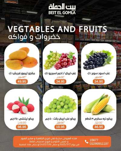   عروض الويك اند  من بيت الجمله  12