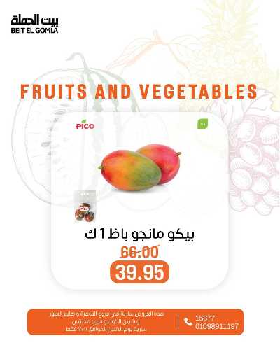 عروض الاثنين من بيت الجمله  10
