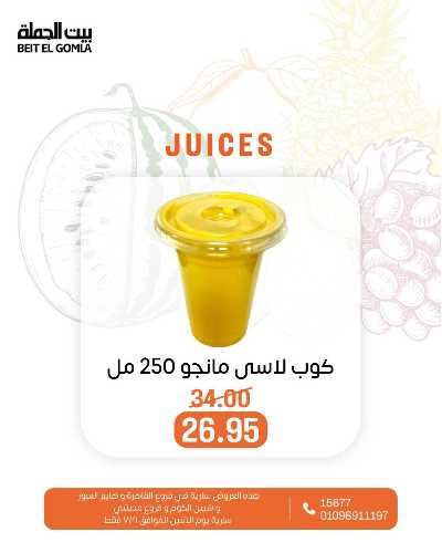 عروض الاثنين من بيت الجمله  16