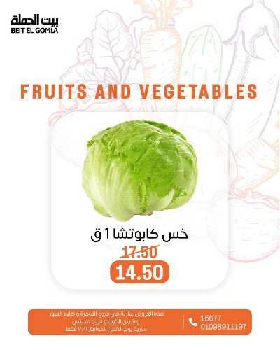 عروض الاثنين من بيت الجمله  28