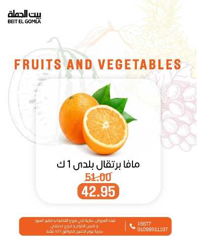 عروض الاثنين من بيت الجمله  7