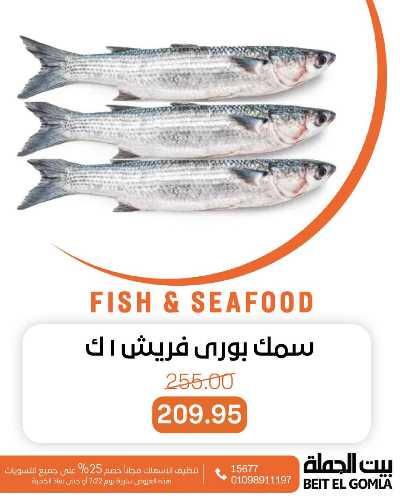 عروض الثلاثاء على الاسماك من بيت الجمله 10