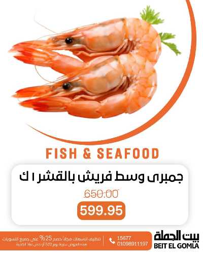 عروض الثلاثاء على الاسماك من بيت الجمله 12